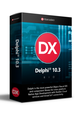 Delphi Professional Named User